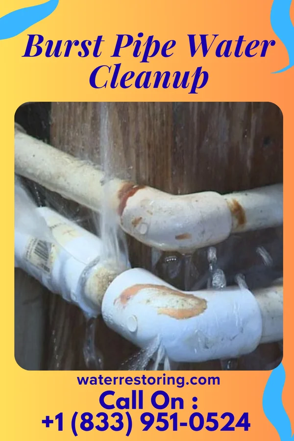 Burst Pipe Water Cleanup in Bard College, NY