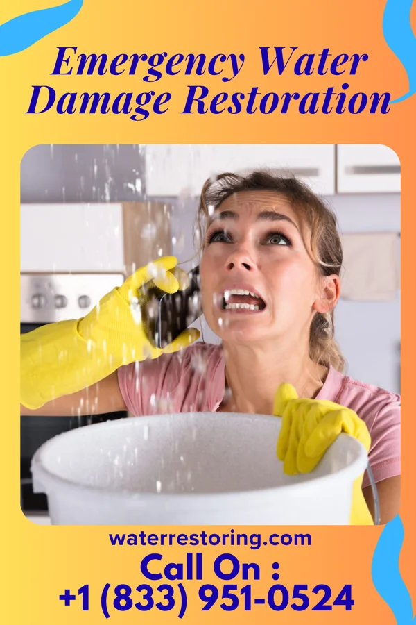 Emergency Water Damage Restoration in Bard College, NY
