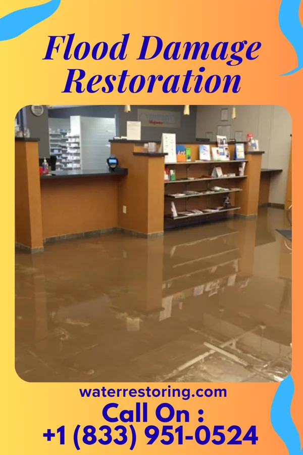 Flood Damage Restoration in Bard College, NY