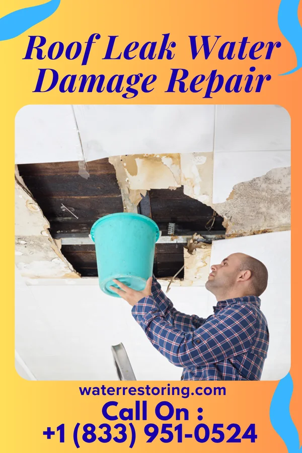 Roof Leak Water Damage Repair in Bard College, NY