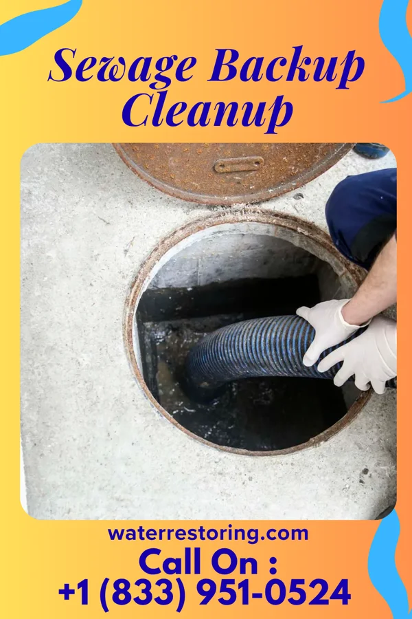 Sewage Backup Cleanup in Bard College, NY